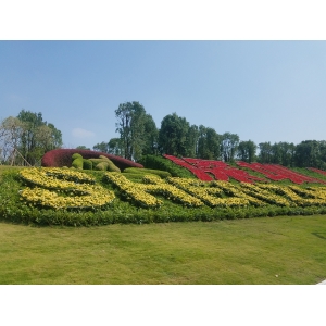 深圳人才公園星光橋工程